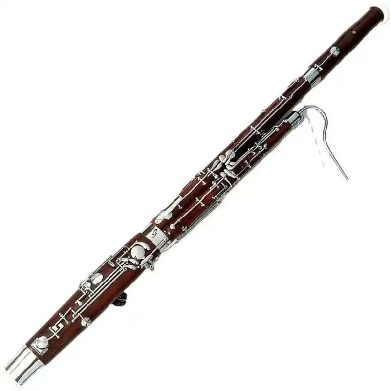

Professional musical instrument bassoon