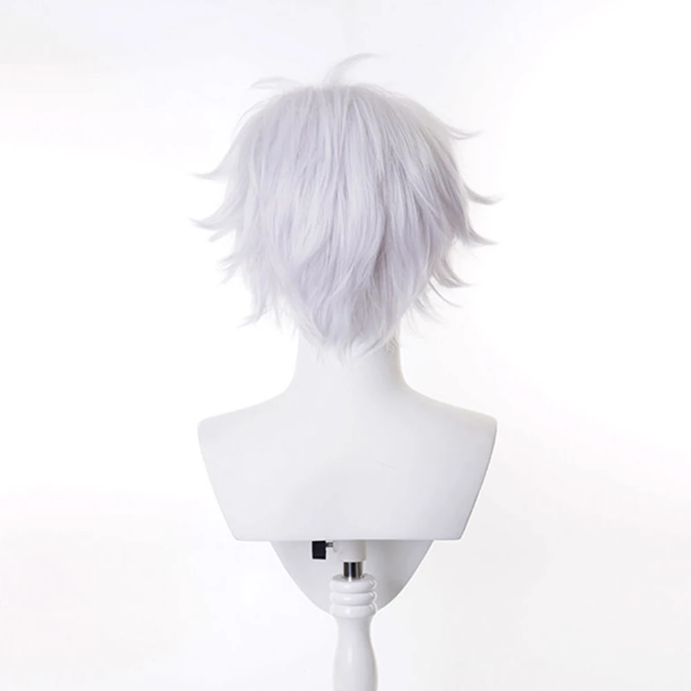 HANEROU-Perruque Synthétique Courte Lisse pour Homme, Anime, Perruque de Degré de Chaleur pour Cosplay Party, Blanc, 03/3