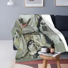 Husky Cool Blankets Velvet Winter Cute Dog Multifunction Super Soft Throw Blanket for Sofa Couch Quilt tanie i dobre opinie CN (pochodzenie) 100 poliester Odporna na mechacenie joyous Na wiosnę jesień Tkanina koralowa Klasa a PRINTED AMERYKAŃSKI STYL