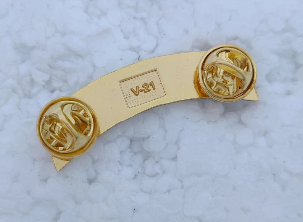 US ARMY TAB SPECIAL FORCES Metal insignia badge pin