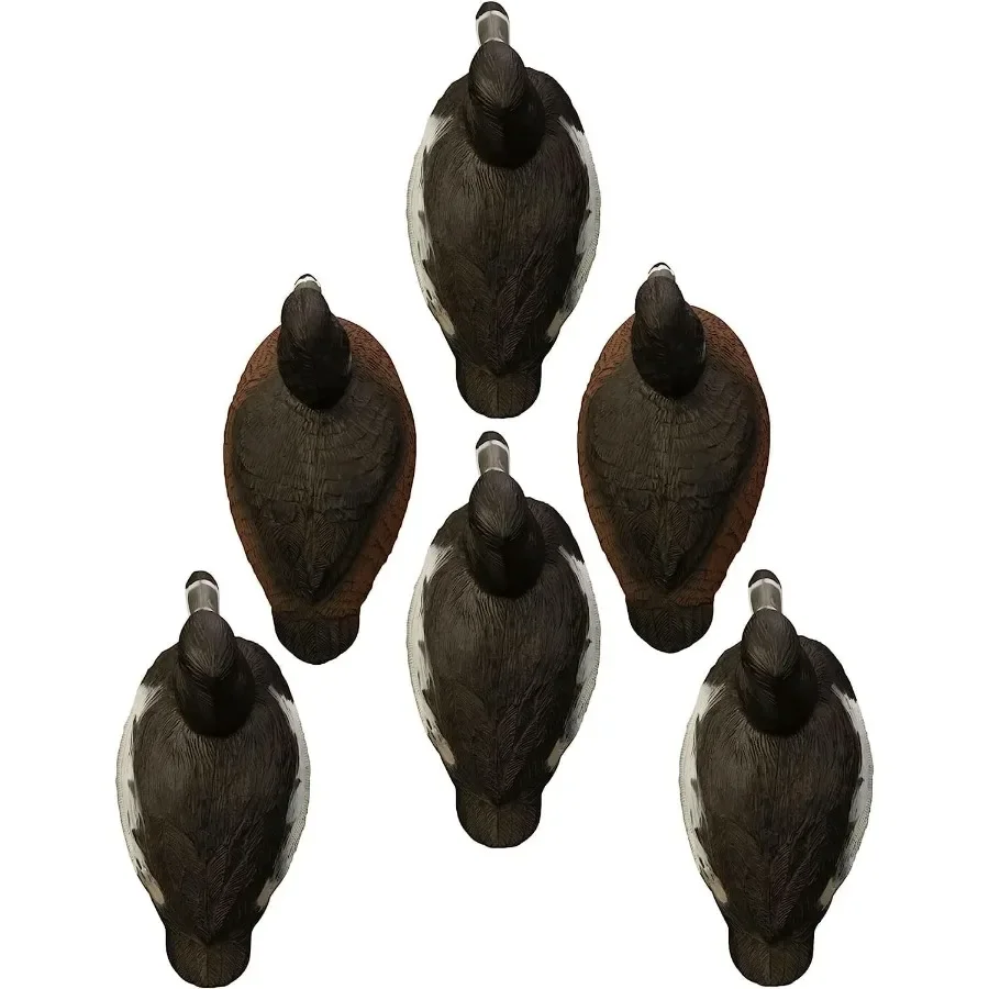 description