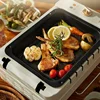 Meat Roasting Pan Skewers Machine Household Barbecue Grill Roasting Hot Pot Double-Layer Automatic Rotation Kebab Machine 3