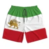 2023 Summer Polyester IRAN Lion With Sun Country Flag 3D Printed Men's Board Shorts Beach Pocket Running Summer Pants 1