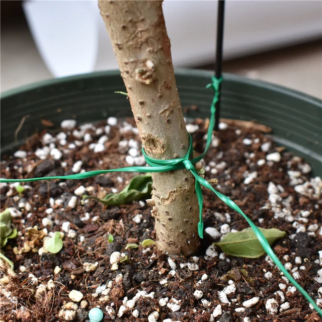 20/30/50 Méteres Növény Rögzített Kötélkert Csavart Nyakkendő Zöldségkertészet Hegymászó Növények Erős Zöld Bevonatú Húr Oltó Rögzítő Huzal - Image 6