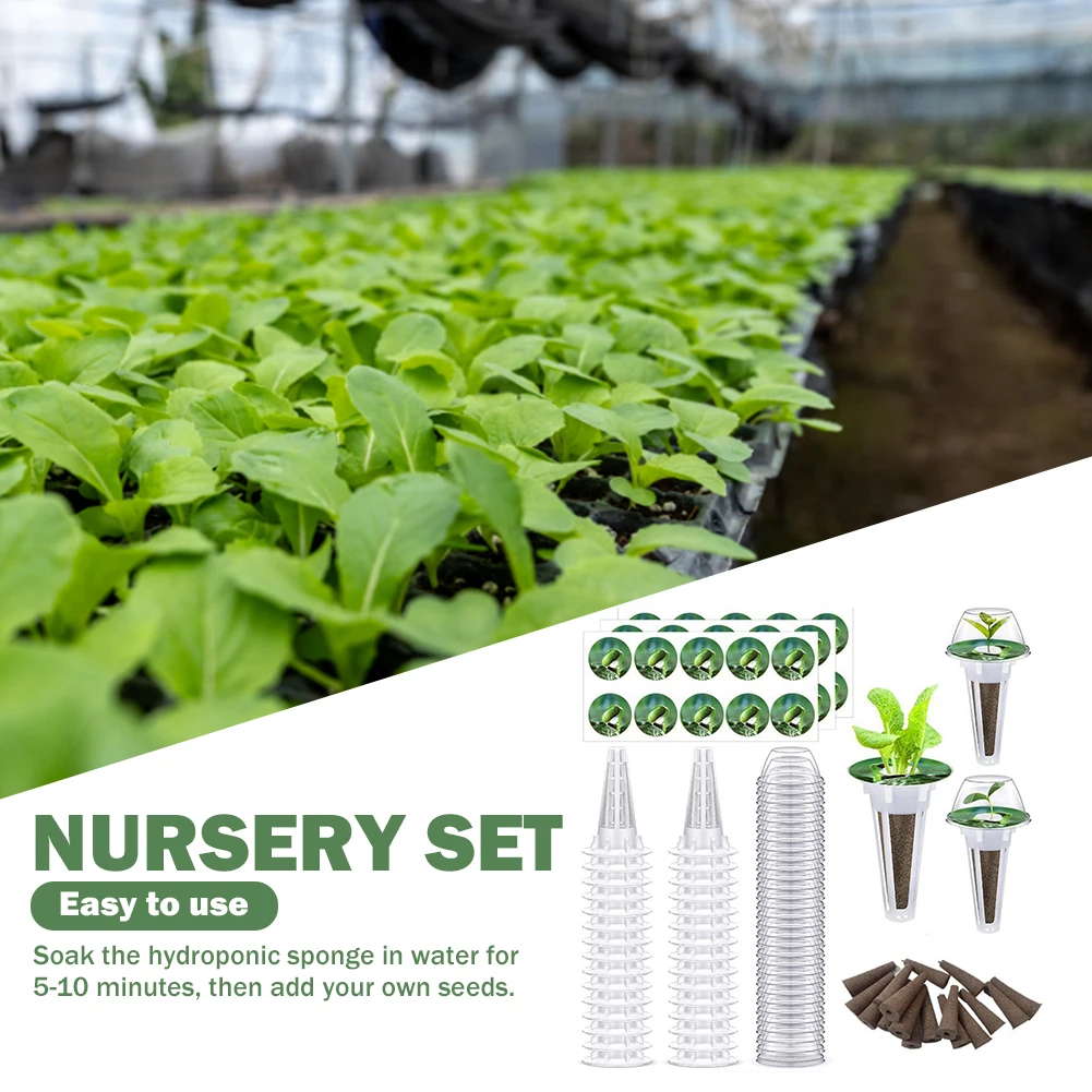 Transparent Wheatgrass Sprouting Tray Multifunctional Set Plant Trays Plastic Convenient Observation for Outdoor Indoor Supplies