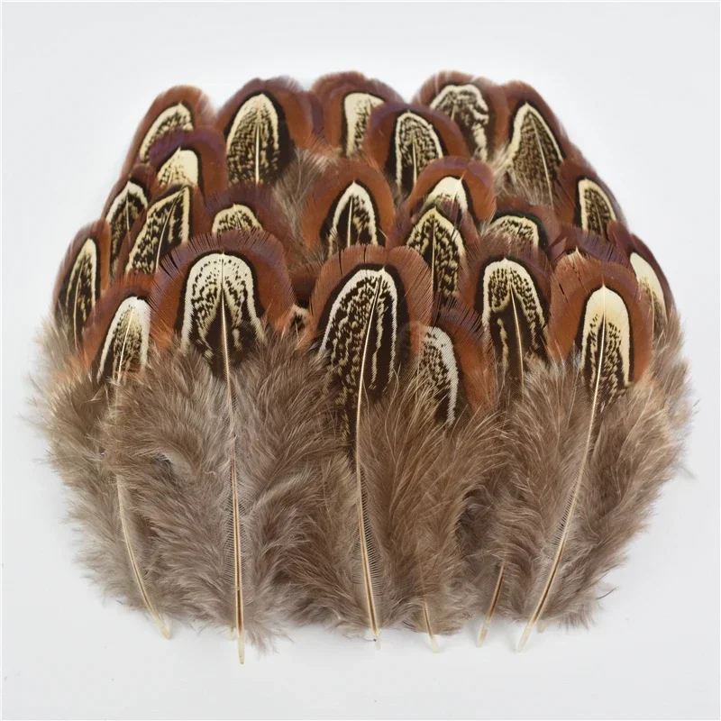 Natural Peacock Pheasant Feather Small Goose Chicken Feathers Plumes Diy Handicraft Party Wedding Accessories Jewelry Decorative