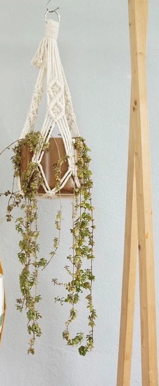 A03 50cm