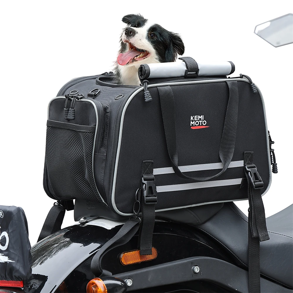 Trasportino Pieghevole Per Cani E Gatti, Approvato Dalle Compagnie Aeree, Con Finestre In Rete E Spazio Extra, Perfetto Per Viaggi E Visite Dal Vet