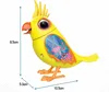 Zhiyin Bird Simulation Voice Control Intelligent Electric Creative Bird Singing Children's Toy Gift 1