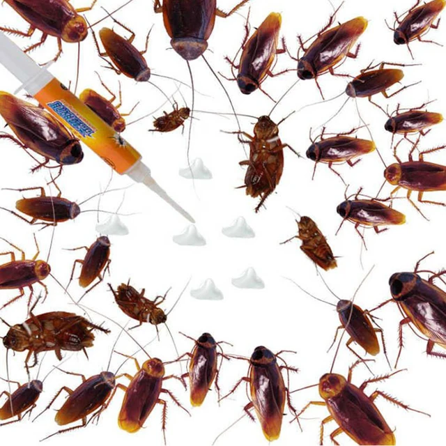 1 Db Gélliláló Rovar Gyilkos Anti Kártevő Hangya Gotlure Hatékony Erőteljes Csótány Vezérlő Csótánytaszító Szerszámok - Image 2