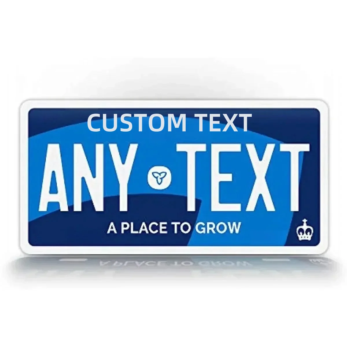 Customizable 12x6 Inch U.S. License Plate with Personalized Text