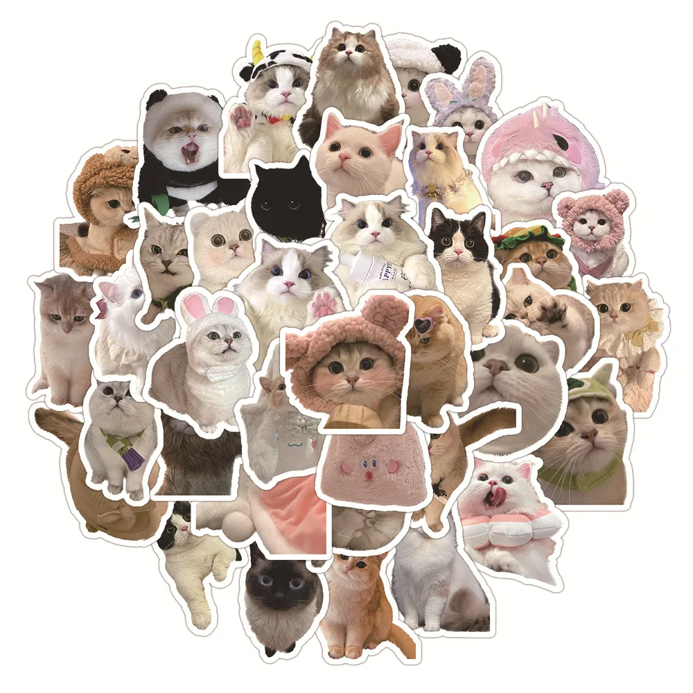 60pcs kawaii Katze Aufkleber PVC Cartoon niedlichen Abziehbilder Spielzeug Briefpapier Gitarre Telefon ästhetische Dekorationen Kühlschrank liefert