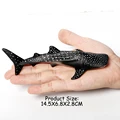 Whale Shark-1