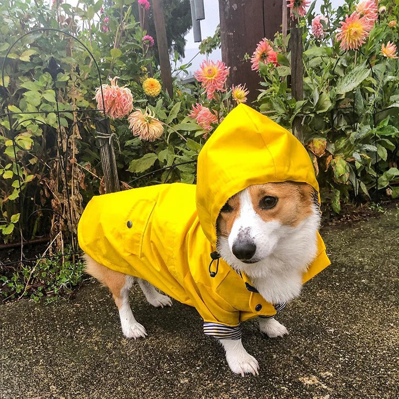 Dog Costumes Pet Clothes for Small Medium Dogs Waterproof Puppy Raincoat Fashion Cool Jacket Coat Windproof Outfit | Дом и сад