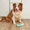Interactive Plush Pill-Shaped Dog Toy with Squeaker - Durable, Bite-Resistant Chew Toy for Pet Play and Dental Health 4