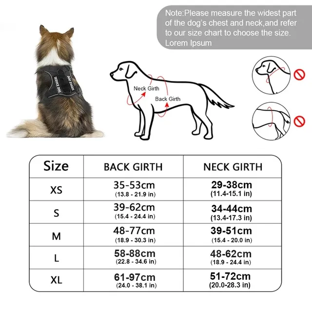 Reflective Pet Dog Harness No Pull Dog Vest Leash for Small Medium Large Dogs Walking Custom ID Tag Dog Accessories 5