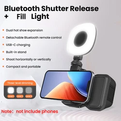 Wireless Bluetooth Stabilizer with Selfie Controller & Fill Light (With Fill Light)
