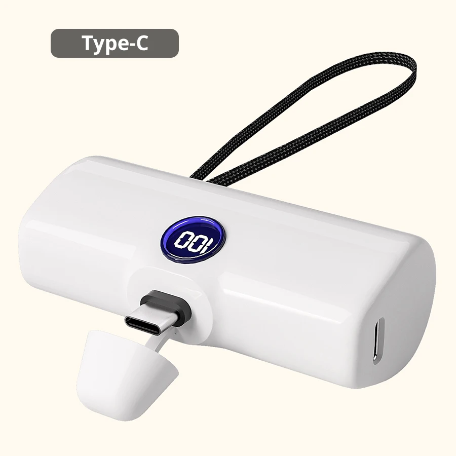 White Type C plug