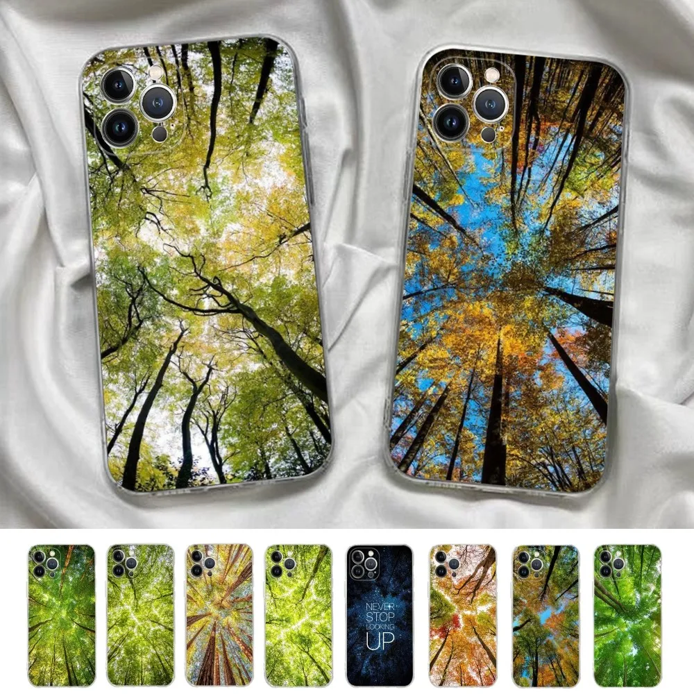 

Look up Sky Forest Phone Case For iPhone 15 14 13 12 11 Pro Max Mini X Xs XR 6 7 8 Plus SE 2020 Transparent Case