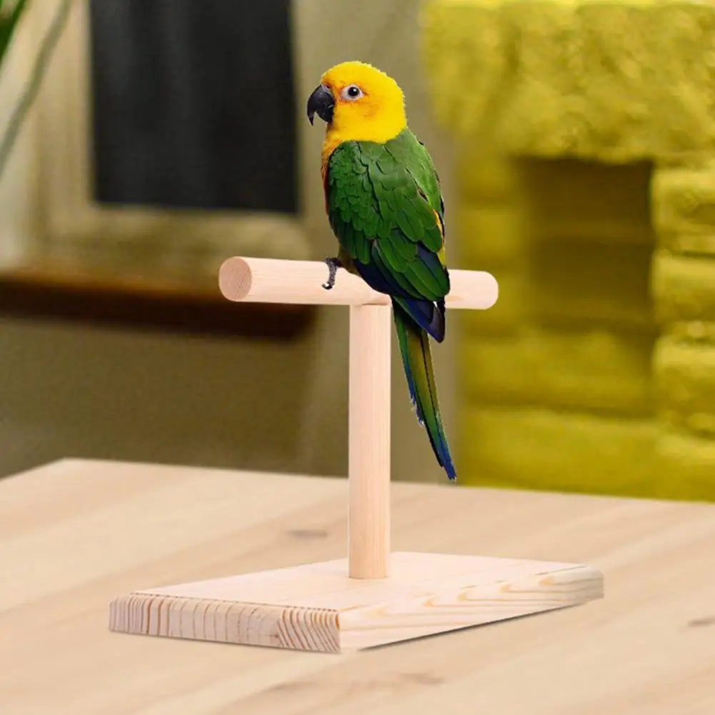 Parrot Rack Stand Wooden Tabletop Perch Durable Safe Eco-friendly Parrot bird perch