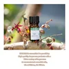 Namste Aroma Essential Oil Various Series Fragrance Set Of 10*5ml Sample Essential Oil Air Freshener Aromatic For Diffuser Home 3
