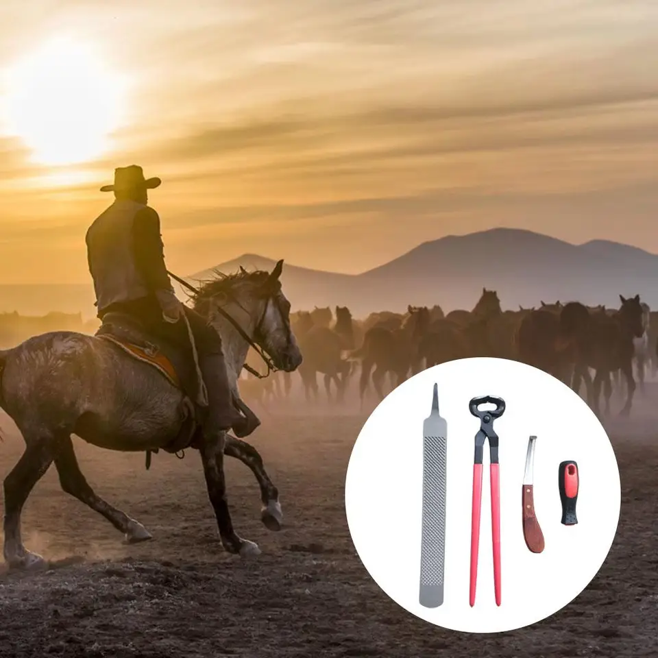 Zoccolo Del Cavallo E Del Ferro Di Cavallo Dopo La Calzatura Nella Stalla Image74501073 - Foto 11