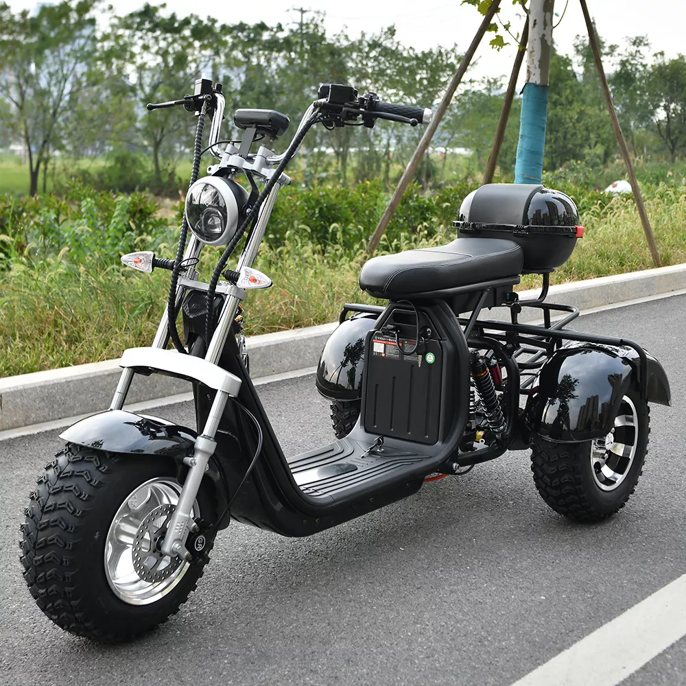 snack fedme religion Adult Electric 3 Wheel Motorcycle 3000w Motor Max Load 250kg Max Speed  45km/h Outdoor Electric Scooter For The Elderly - Electric Scooters -  AliExpress