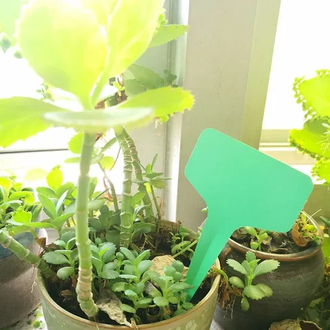 

White Green 10*6 CM Garden Plant Labels Classification Sorting Tag Ticket Plastic Writing Plate Board Plug in Card