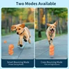 Smart Rechargeable LED Pet Ball – Automatic Bouncing & Rolling Interactive Toy With RGB Lights Cats Accessories Pets Toys Games 6