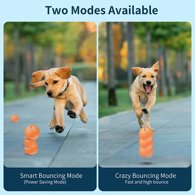Smart Rechargeable LED Pet Ball – Automatic Bouncing & Rolling Interactive Toy With RGB Lights Cats Accessories Pets Toys Games 6