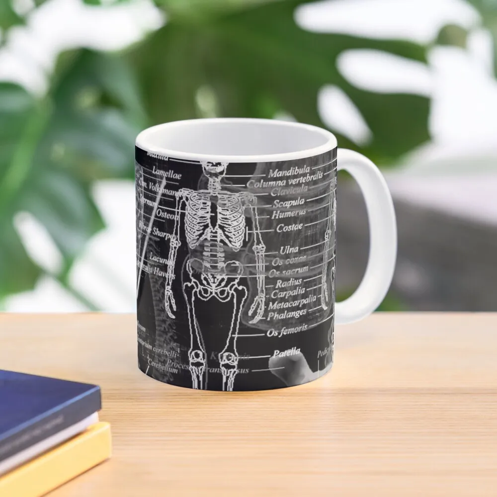 

Medical Skeleton X-Ray Coffee Mug Cups Sets Cups For Cafe Mug