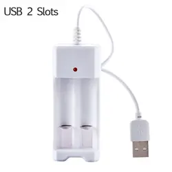 Universal 2-4 Slot Rechargeable Battery Charger for Ni-MH/Ni-CD Batteries (2 Slots USB)