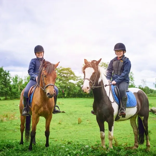 Horse Sports Store