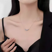 D Vvs1 Moissanite Necklace for Women Wedding Fine Jewelry with Certificates 925 Sterling Silver Plated 18K White Gold Necklace - Image 3