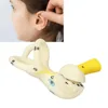 Ear Semicircular Canal Cochlea Anatomical Model Ear Labyrinth Model Human Ear Model Inner Ear model 5X Magnification Clear Model 3