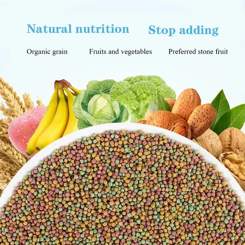 Bird food parrot feed oil sunflower bird feed parrot food bird