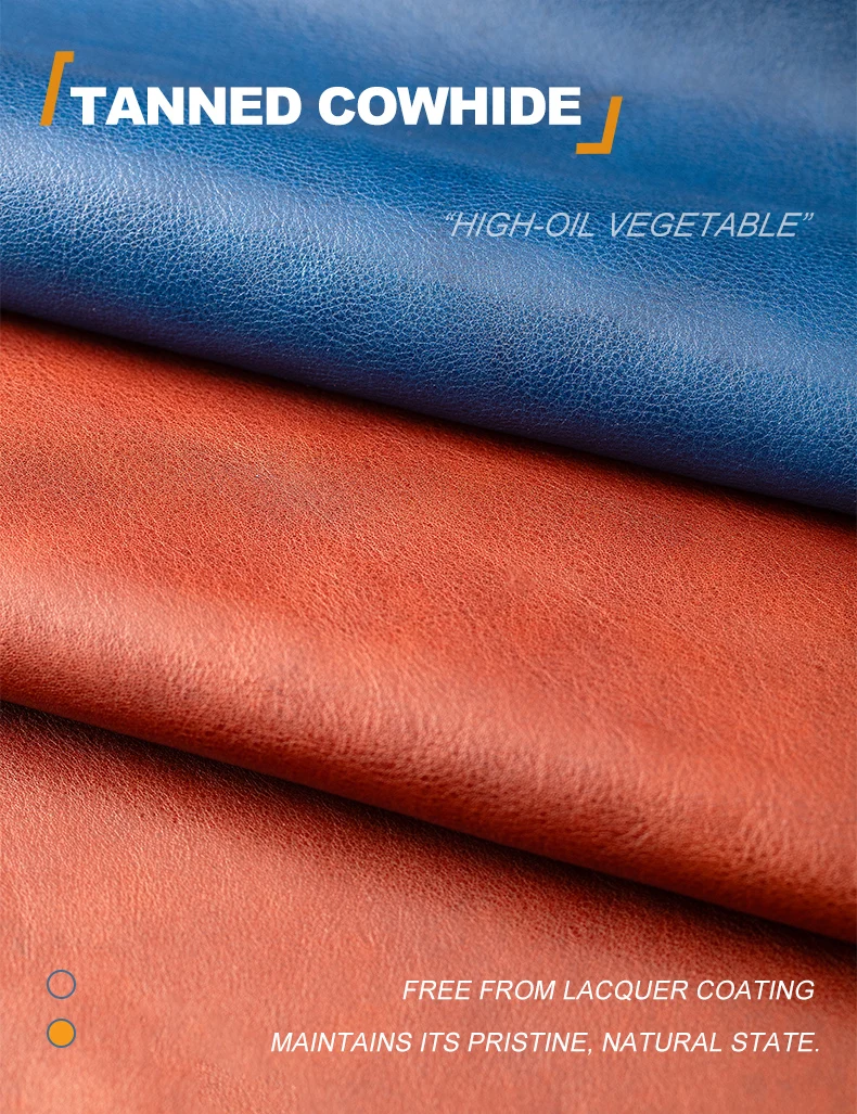 Echtes Leder-Schutzetui für BMW 530i 540i 740i X1 X2 X5 X6 X7 IX IX1 IX2 XM G60 Schlüsselhülle – Detail 2
