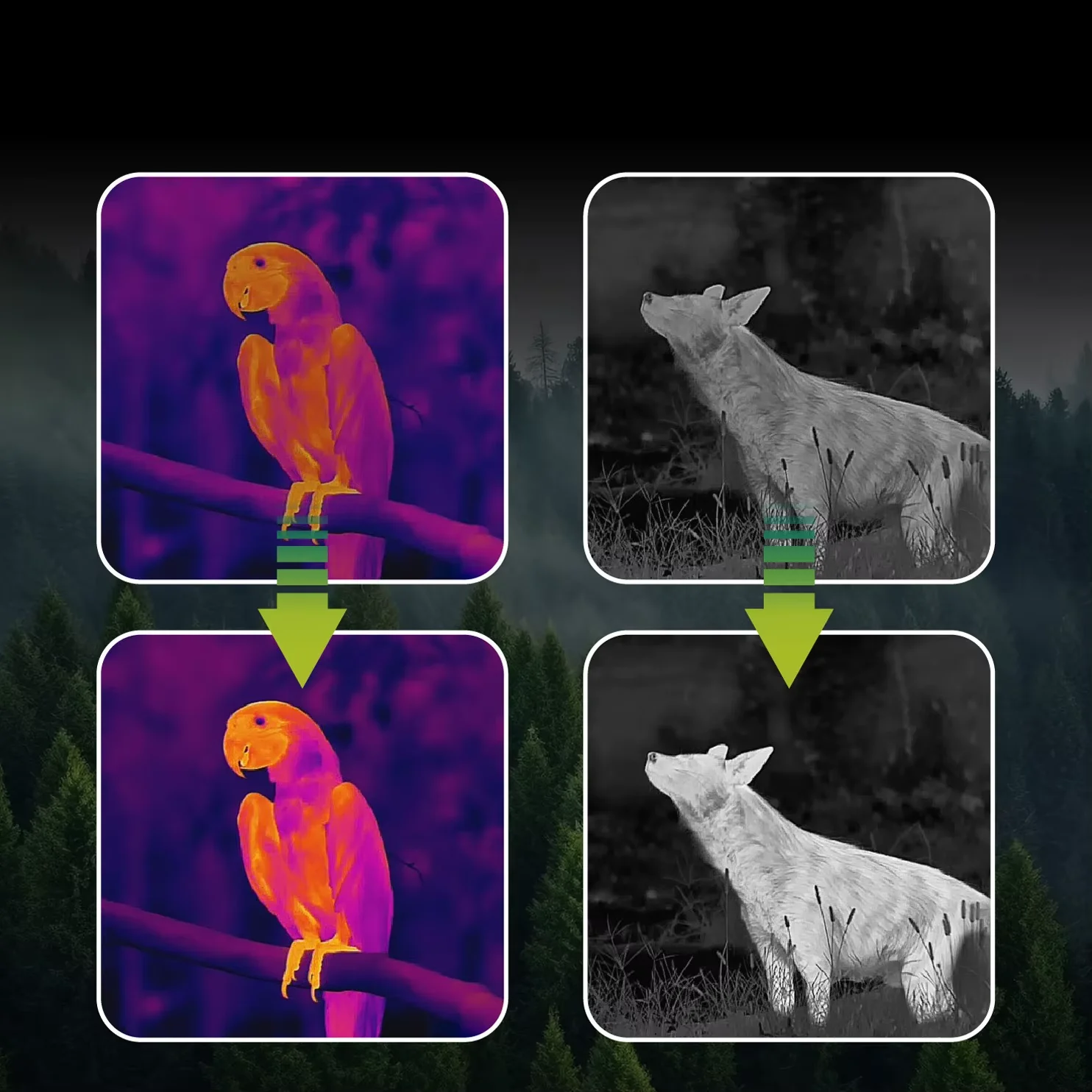 TOOLTOP M7 Infrared Thermal Camera 5