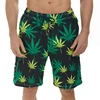 3D Print Casual Fashion Mens Beach Shorts Hawaii Vacation Swim Trunks For Men Floral Short Pants Board Shorts Ropa De Hombre 2