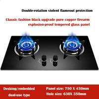 4.2KW Double Head Fierce Fire Stove/Household Desktop Embedded Dual-Purpose Natural Liquefied Gas Stove  /Electronic Pulser 1