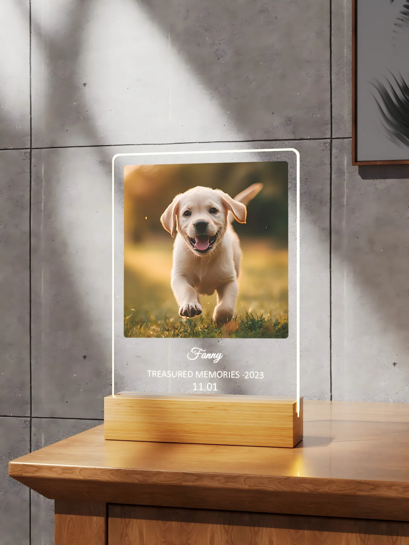 Custom Pet Memorial Nightlight with Name and date tag Pet Photo with text Light Memorial Stand Gift Lost Cat pet memorial nightlight