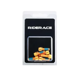 Titanium-Plated Colorful Stainless Steel Bicycle Brake Caliper Screws - Set of 6 (Gold)