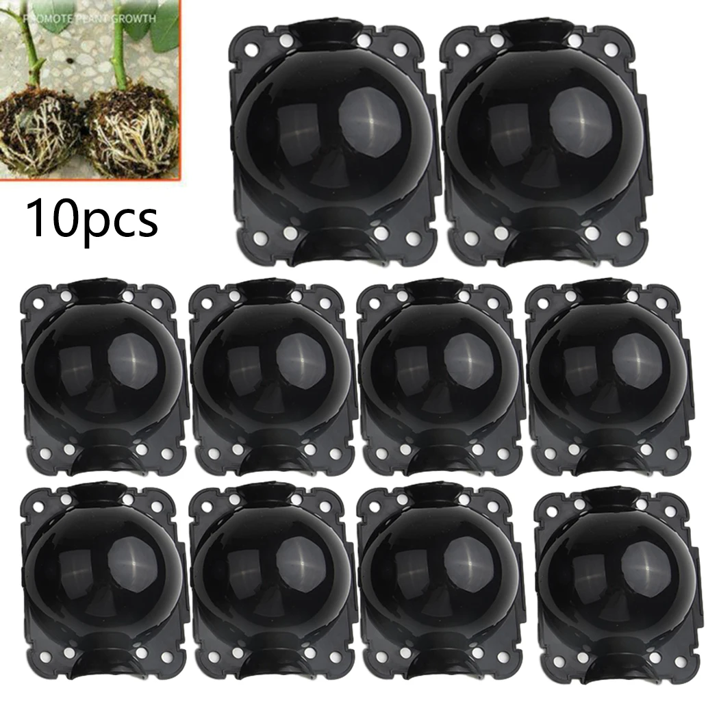 Plant Rooting Ball Grafting Rooting Growing Box Breeding Seeding Case Container Nursery Box Garden Seeds Root 10pcs