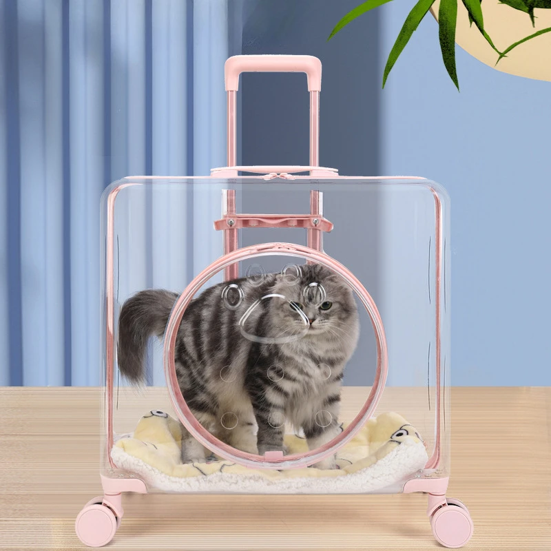 Extra Large Luxury Square Pet Carrier Bag Travel Trolley Transparent Cat  Dog Universal Wheel Rolling Carrier Trolley Case - AliExpress