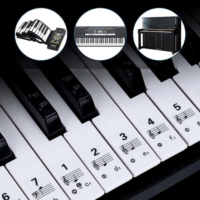 Autocollants transparents amovibles pour clavier de Piano, lettres fines et  colorées, plus grandes pour 88/61/54 touches, pour débutant, 24BD -  AliExpress