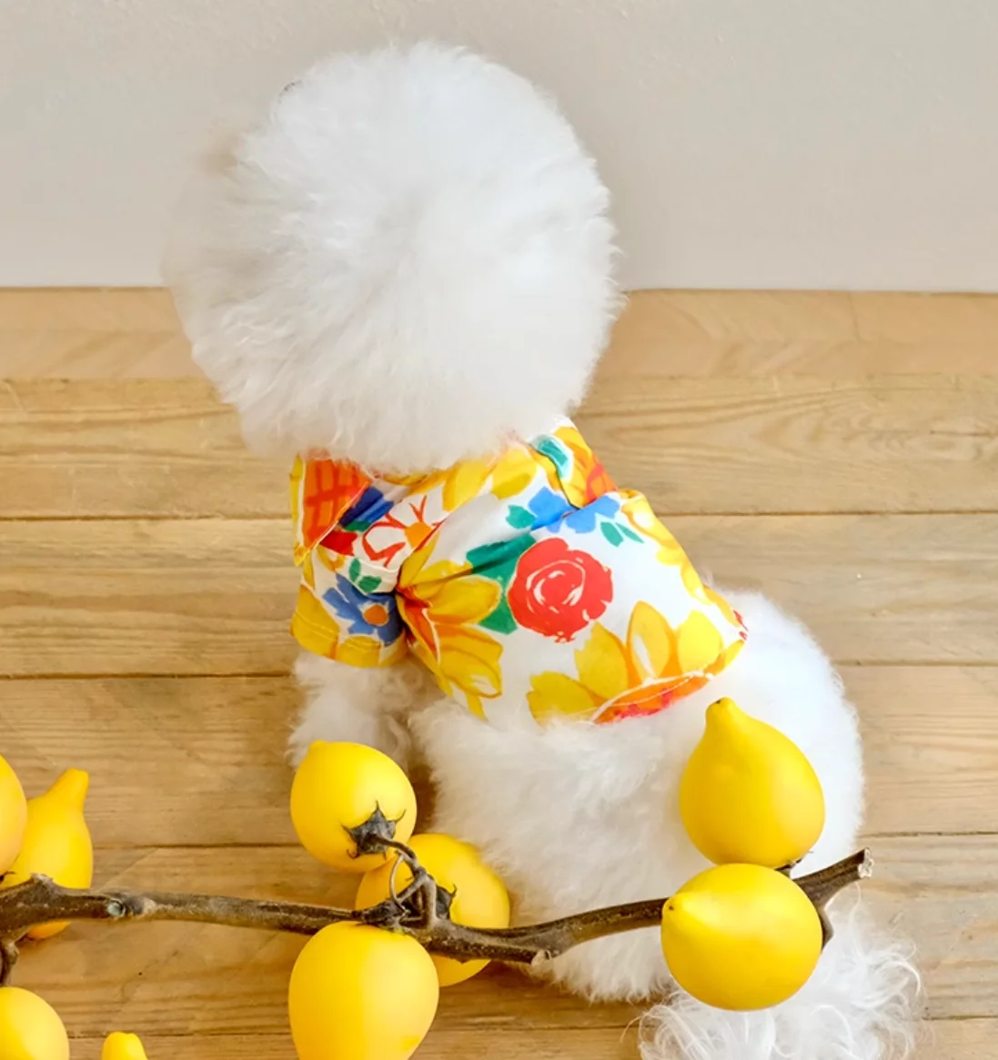 Luxury Dog Dress Bowknot Lace Summer Puppy Clothes Dog Skirts Cotton T Shirt Girls Costume Chihuahua