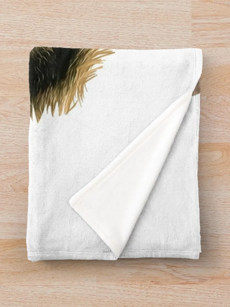 ��������� ������ ��ƼĿ, �� ������ ���, ��Ƽ�� ���, ���� ���, �ö��� ���� ���� ���