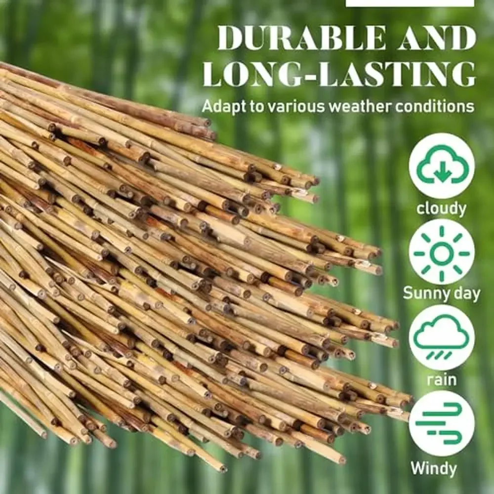 100 Pcs Bamboo Plant Support Stakes Tomato Bean Flowers Trees Indoor Outdoor Garden Sticks Reliable Durable Quality Easy