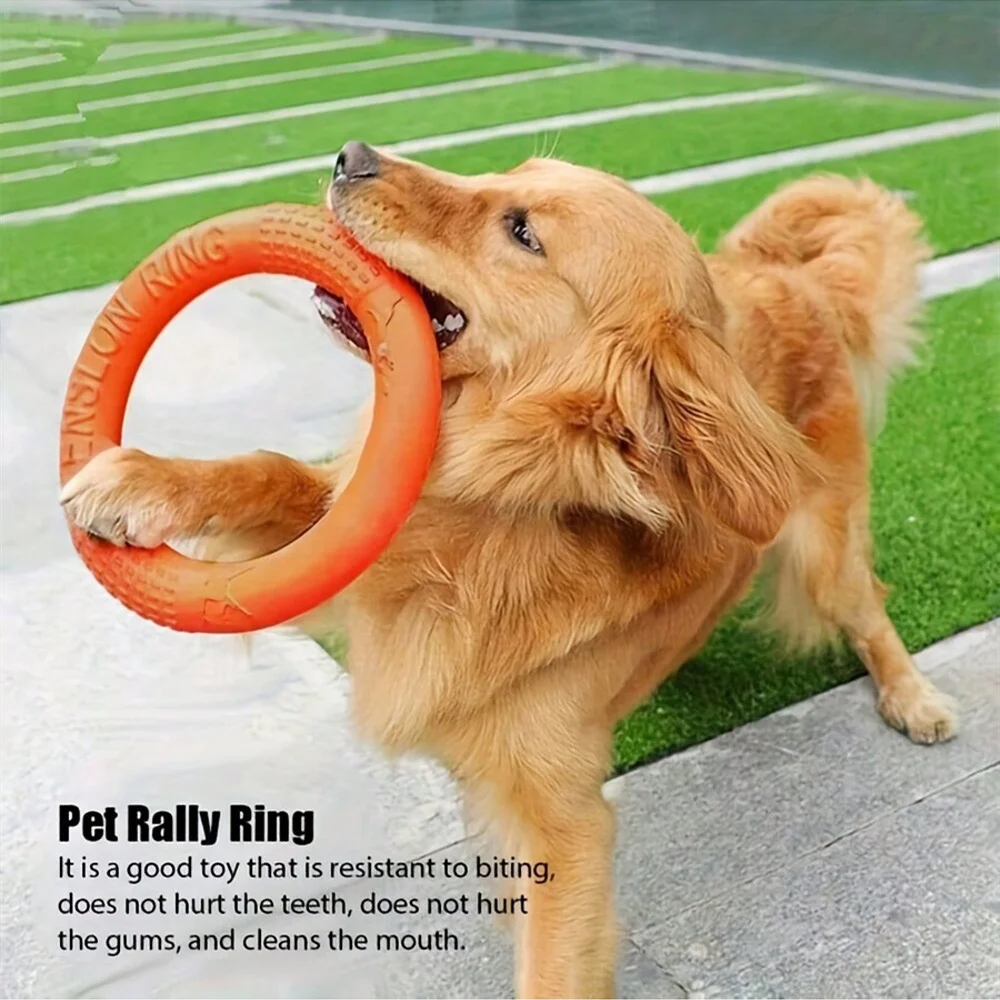 Durable Dog Ring Flying Disc, Soft Chew-Resistant Fun Fetch & Catch Water Floating Toy EVA Material Outdoors Dog Toys Pet Toy