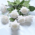 Champagne rose